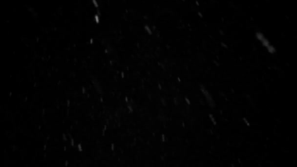 Looped Snow Met Alpha Channel Voor Projecten Etc — Stockvideo