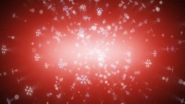 Looped Christmas Winter Snow Background Different Projects Etc — Stock Video