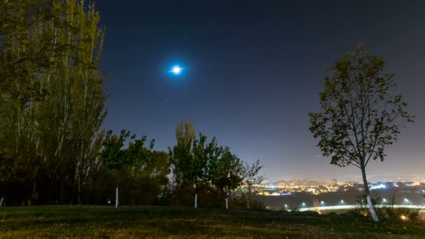 Vida Nocturna Luna Filmación Tiempo Caducidad Para Diferentes Eventos — Vídeo de stock