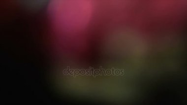 Zarif soyut ışık sızıntıları