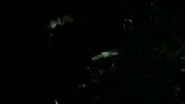 4k ışık sızıntıları görüntüleri farklı etkinlikler ve projeler için!!! Geçerli görüntüleri ve Ekle veya ekran harmanlama modlarını kullanarak bileşik üzerinde bırakın. (Herhangi bir yazılım)