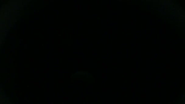 Fuites de lumière 4K Images pour différents événements et projets ! ! ! Déposez-le sur vos séquences actuelles et composites en utilisant les modes Ajouter ou Écran de mélange. (Tout logiciel )