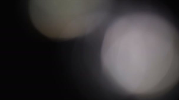 Fuites de lumière 4K Images pour différents événements et projets ! ! ! Déposez-le sur vos séquences actuelles et composites en utilisant les modes Ajouter ou Écran de mélange. (Tout logiciel )