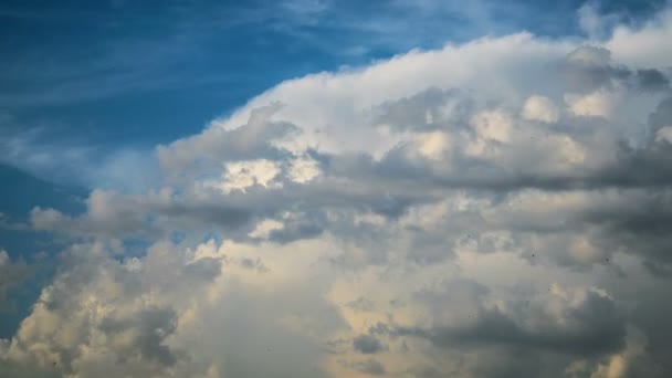 Prawdziwe chmury Niebo — Wideo stockowe
