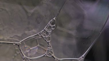 Köpük kabarcıkları yavaş çekimde patlıyor. Makro sabun köpüğü. Köpüklü gökkuşağı renkleri. yüksek sinematik kalite (Kızıl Ejder Kamerası).