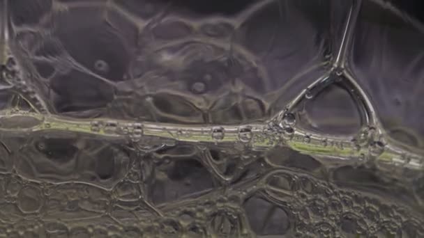 Skum Bubblor Poppar Slow Motion Makro Tvålskumsbubblor Regnbågens Färger Skum — Stockvideo