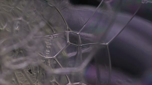 Bulles de mousse éclatant au ralenti. Bulles de mousse de savon macro. Couleurs arc-en-ciel en mousse. haute qualité cinématographique (Caméra Dragon Rouge ).