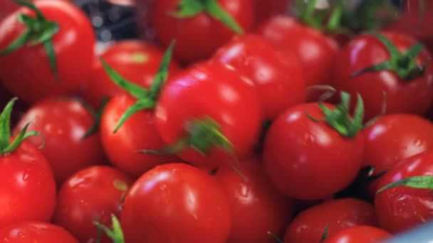 トマトの入ったバスケットに新鮮なトマト が落ちるクローズアップ レッドドラゴン スローモーション シネマティッククオリティ映像 — ストック動画