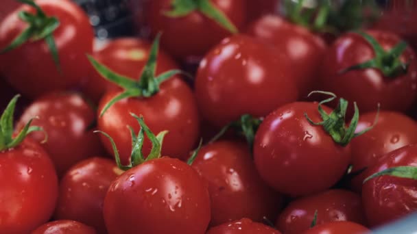 Κοντινό Πλάνο Falling Fresh Tomato Λαχανικό Καλάθι Ντομάτες Κόκκινος Δράκος — Αρχείο Βίντεο