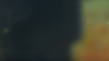 Şef, pilav pilavını ocakta sığır etiyle kızartıyor. Yakın çekim yemek. Yemek pişirme süreci. Şef Aşçılık Tabağı. Şef yemek hazırlıyor. (Kızıl Ejder, Sinema Kaliteli Makro Görüntüler).