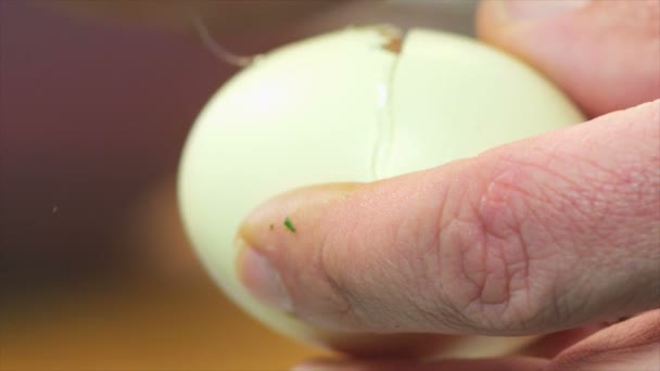 Le chef casse un œuf et verse dans une assiette. Gros plan Nourriture. Processus de cuisson. Chef Plat de Cuisine. Chef préparant la nourriture. (Caméra Dragon Rouge, Mouvement lent, Qualité cinématographique Macro Footage ).