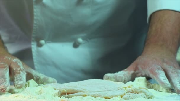 厨师在面粉中加入鸡肉 鸡肉片蘸面粉 烹饪过程 厨师做饭迪什 厨师准备食物 红史诗龙相机电影慢动作镜头 — 图库视频影像