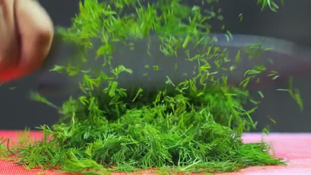 Les Verts Hachés Chef Cutting Dill Chef Cuts Dill Greens — Video