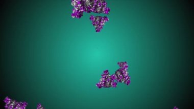 Coronavirus Covid-19 virüsü 2019-ncov pnömoni kanında. Tıbbi Virüs gerçekçi bir model. Döngülü Coronavirus animasyonu. Mikroorganizmalar, Patojen bakterileri. Parçacıklar.