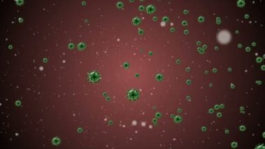 Coronavirus Covid-19 enfekte virüs 2019-ncov pnömoni kanında. Tıbbi Virüs gerçekçi bir model. Coronavirus animasyonu. Mikroorganizmalar, Patojen bakterileri. Parçacıklar.