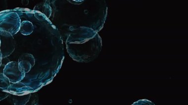 Coronavirus, Covid-19 Aşıları. Coronavirus aşısı arka plan görüntüleri. Dezenfekte köpükleri jel. Kovid 19 aşı haplarından oluşan yüzen hücreler insan organizmasında. Siyah arkaplanda Coronavirus hücresi.