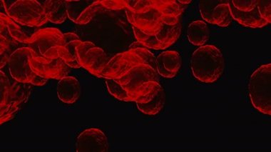 Coronavirus, Covid-19 Aşıları. Coronavirus aşısı arka plan görüntüleri. Dezenfekte köpükleri jel. Kovid 19 aşı haplarından oluşan yüzen hücreler insan organizmasında. Siyah arkaplanda Coronavirus hücresi.