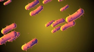 Coronavirus, Covid-19 Aşıları. Coronavirus aşısı arka plan görüntüleri. Dezenfekte köpükleri jel. Kovid 19 aşı haplarından oluşan yüzen hücreler insan organizmasında. Siyah arkaplanda Coronavirus hücresi.