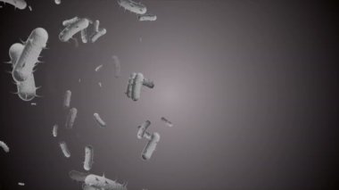 Coronavirus Covid-19 enfekte virüs 2019-ncov pnömoni kanında. Tıbbi Virüs gerçekçi bir model. Coronavirus animasyonu. Mikroorganizmalar, Patojen bakterileri. Parçacıklar. Hücrelerin grip virüsü modelleri.