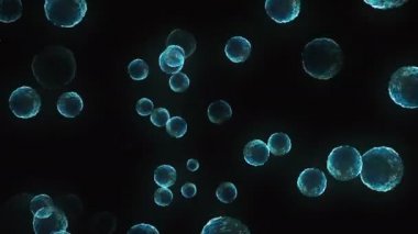 Coronavirus, Covid-19 Aşıları. Coronavirus aşısı arka plan görüntüleri. Dezenfekte köpükleri jel. Kovid 19 aşı haplarından oluşan yüzen hücreler insan organizmasında. Siyah arkaplanda Coronavirus hücresi.