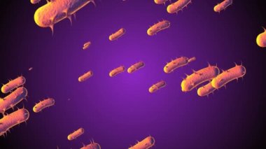 Coronavirus Covid-19 enfekte virüs 2019-ncov pnömoni kanında. Tıbbi Virüs gerçekçi bir model. Coronavirus animasyonu. Mikroorganizmalar, Patojen bakterileri. Parçacıklar. Hücrelerin grip virüsü modelleri.