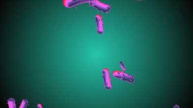 Coronavirus Covid-19 enfekte virüs 2019-ncov pnömoni kanında. Tıbbi Virüs gerçekçi bir model. Coronavirus animasyonu. Mikroorganizmalar, Patojen bakterileri. Parçacıklar. Hücrelerin grip virüsü modelleri.