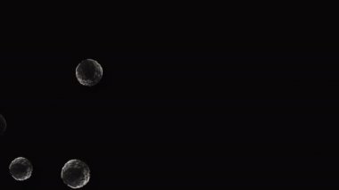 Coronavirus, Covid-19 Aşıları. Coronavirus aşısı arka plan görüntüleri. Dezenfekte köpükleri jel. Kovid 19 aşı haplarından oluşan yüzen hücreler insan organizmasında. Siyah arkaplanda Coronavirus hücresi.