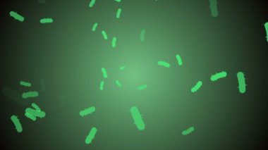 Coronavirus Covid-19 enfekte virüs 2019-ncov pnömoni kanında. Tıbbi Virüs gerçekçi bir model. Coronavirus animasyonu. Mikroorganizmalar, Patojen bakterileri. Parçacıklar. Hücrelerin grip virüsü modelleri.