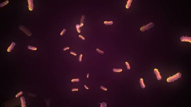 Coronavirus Covid-19 enfekte virüs 2019-ncov pnömoni kanında. Tıbbi Virüs gerçekçi bir model. Coronavirus animasyonu. Mikroorganizmalar, Patojen bakterileri. Parçacıklar. Hücrelerin grip virüsü modelleri.