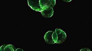 Coronavirus, Covid-19 Aşıları. Coronavirus aşısı arka plan görüntüleri. Dezenfekte köpükleri jel. Kovid 19 aşı haplarından oluşan yüzen hücreler insan organizmasında. Siyah arkaplanda Coronavirus hücresi.
