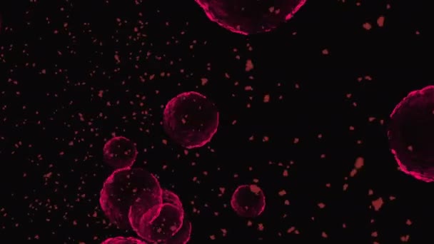 Koronavirus Vakcíny Covid Záběry Pozadí Koronavirové Vakcíny Dezinfekce Bubbles Gel — Stock video