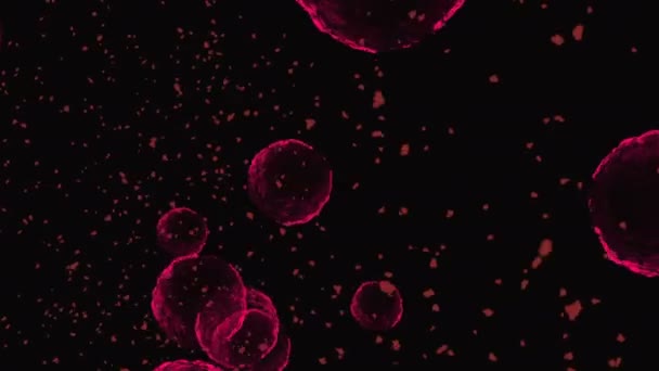 Coronavirus Vaccins Covid Images Fond Vaccin Contre Coronavirus Désinfection Bubbles — Video