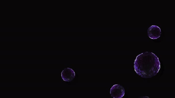 コロナウイルス Covid 19ワクチン コロナウイルスワクチンの背景映像 消毒泡ジェル ヒトの生物における19個のワクチン薬のフローティングセル 黒の背景にコロナウイルス細胞 — ストック動画