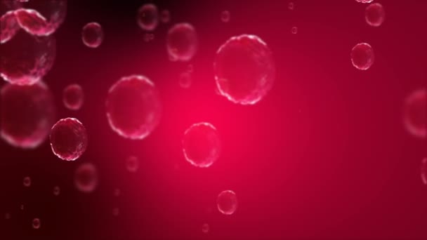 コロナウイルス Covid 19ワクチン コロナウイルスワクチンの背景映像 消毒泡ジェル ヒトの生物における19個のワクチン薬のフローティングセル 黒の背景にコロナウイルス細胞 — ストック動画