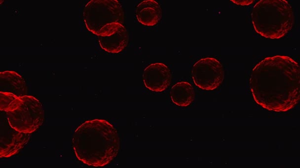 코로나 바이러스 Covid Vaccines 코로나 바이러스 화면이야 버블스 사람의 알약의 — 비디오