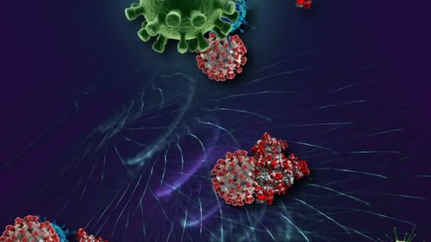 Medicinsk Illustration Animation Bakgrund Celler Bakterier Virus Världen Människans Riskvirus — Stockvideo