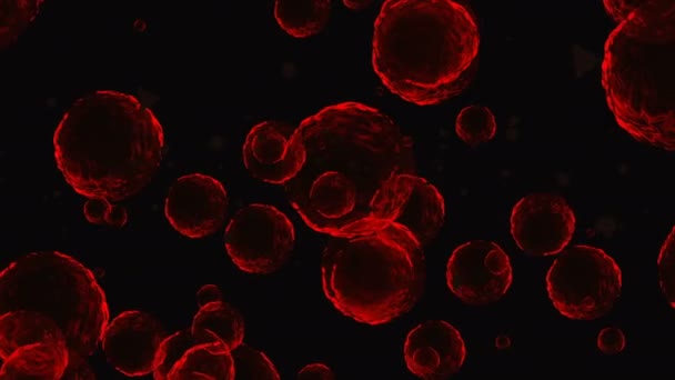 Coronavirus Covid 19疫苗 Coronavirus疫苗背景录像 消毒泡沫凝胶 在人的机体中漂浮着19种疫苗药丸的细胞 黑色背景上的考拉韦氏细胞 — 图库视频影像