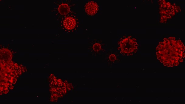 Coronavirus Covid 19疫苗 Coronavirus疫苗背景录像 消毒泡沫凝胶 在人的机体中漂浮着19种疫苗药丸的细胞 黑色背景上的考拉韦氏细胞 — 图库视频影像