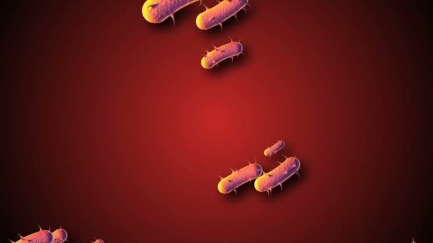 Coronavirus Covid Virus Infecté 2019 Ncov Pneumonie Dans Sang Modèle — Video