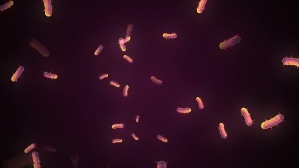 Coronavirus Covid Infected Virus 2019 Ncov Pneumonia Blood Modelo Realista — Vídeo de stock