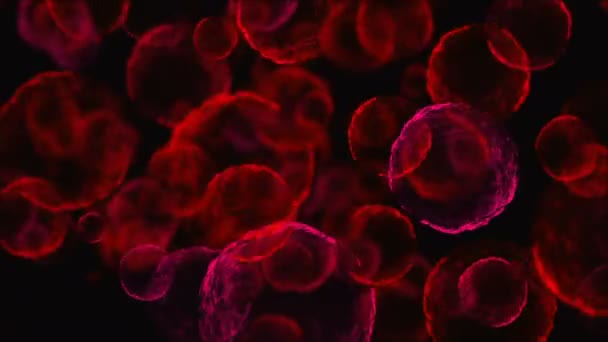 Ilustracja Medyczna Tło Animacji Komórek Wirusów Bakterii Świecie Ludzki Wirus — Wideo stockowe