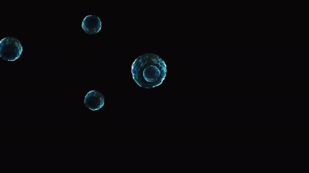 Coronavirus, vaccins Covid-19. Images de fond du vaccin contre le coronavirus. Désinfection Bubbles gel. Cellules flottantes de covide 19 pilules de vaccin dans l'organisme de l'homme. Cellule coronavirus sur fond noir .