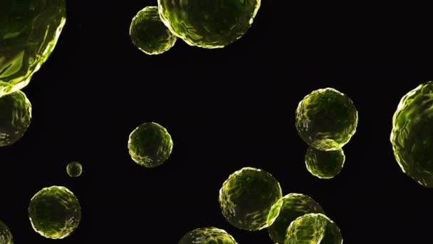 Coronavirus Covid Vaccines Rekaman Latar Belakang Vaksin Coronavirus Gelembung Disinfeksi — Stok Video