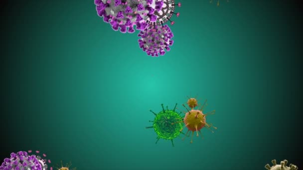 Иллюстрация Коронавирусных Клеток Инфицированный Вирус Коронавируса Ковид 2019 Нков Пневмония — стоковое видео