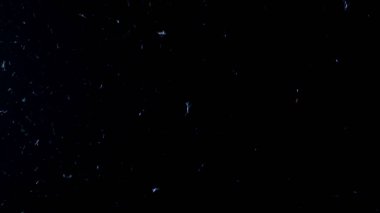 Tüy Tozu ile soyut koyu arkaplan  