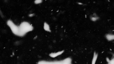 Farklı etkinlikler ve projeler için Tüyler (tüy) Düşen Arkaplan! Kuşlar.