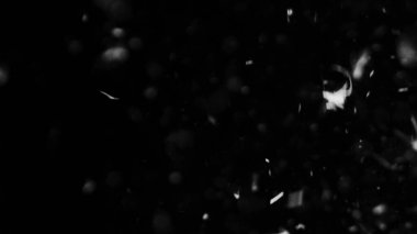 Farklı etkinlikler ve projeler için Tüyler (tüy) Düşen Arkaplan! Kuşlar.