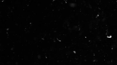 Farklı etkinlikler ve projeler için Tüyler (tüy) Düşen Arkaplan! Kuşlar.