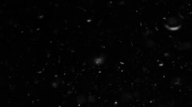 Farklı etkinlikler ve projeler için Tüyler (tüy) Düşen Arkaplan! Kuşlar.