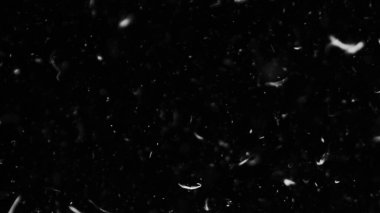 Farklı etkinlikler ve projeler için Tüyler (tüy) Düşen Arkaplan! Kuşlar.